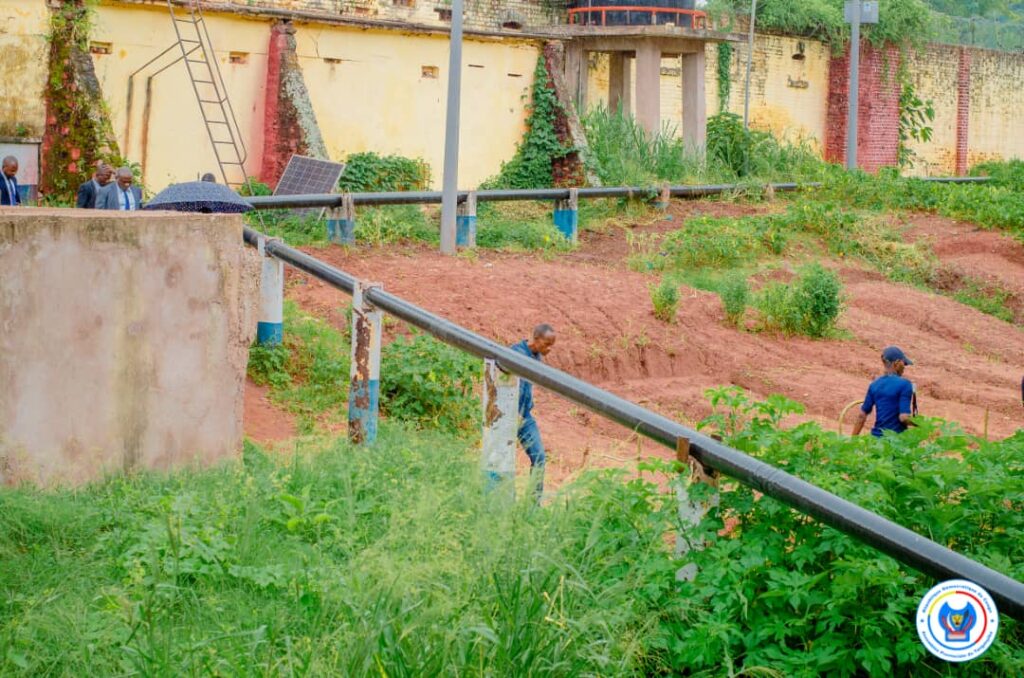 WhatsApp Image 2024-06-17 at 15.13.09